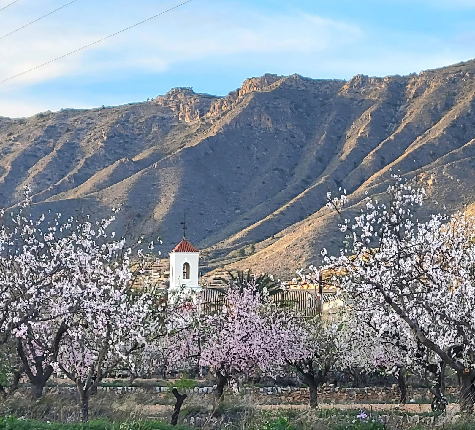 El Valle del Hondón con los almendros en flor, el paisaje del restaurante Mesón El Retiro